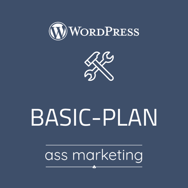 Basic Plan WordPress Website-Updates Service für Sicherheit und Leistung