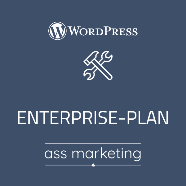 Enterprise Plan WordPress Website-Updates Service für Sicherheit und Leistung